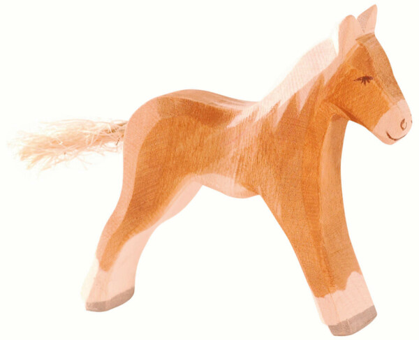 Haflinger Fohlen