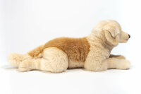 Golden Retriever 60 cm