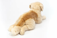 Golden Retriever 60 cm