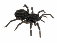 Papiermodell Tarantula