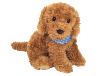 Goldendoodle sitzend