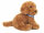 Goldendoodle sitzend