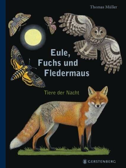 Eule, Fuchs und Fledermaus-Tiere der Nacht