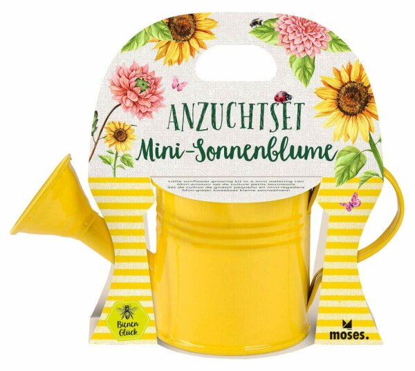 Mini- Sonnenblume