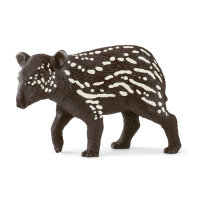 Jeune  tapir/Tapir Junges