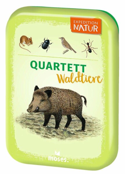 Quartett Waldtiere