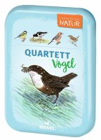 Quartett Vögel